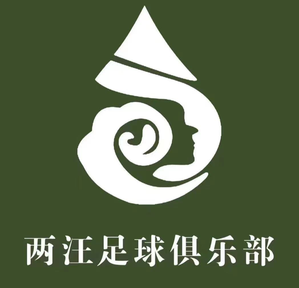 两汪村足球队